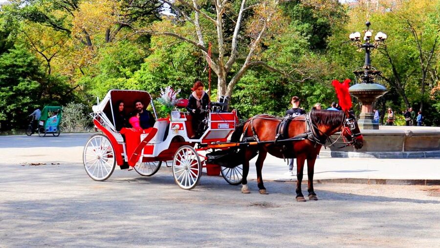 Central Park: Short Horse Carriage Ride (Up to 4 Adults) - Is $115 good value for four people?