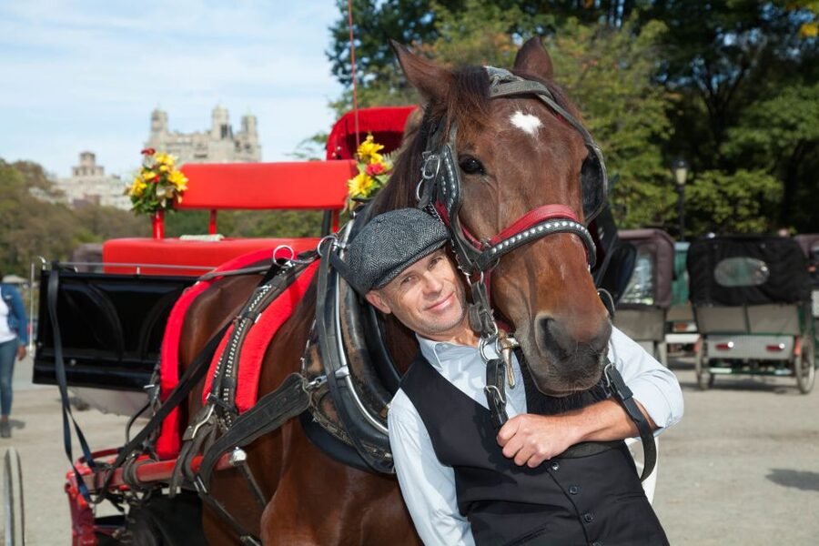 Central Park: Short Horse Carriage Ride (Up to 4 Adults) - Meeting the carriage at the José Julián Martí Statue