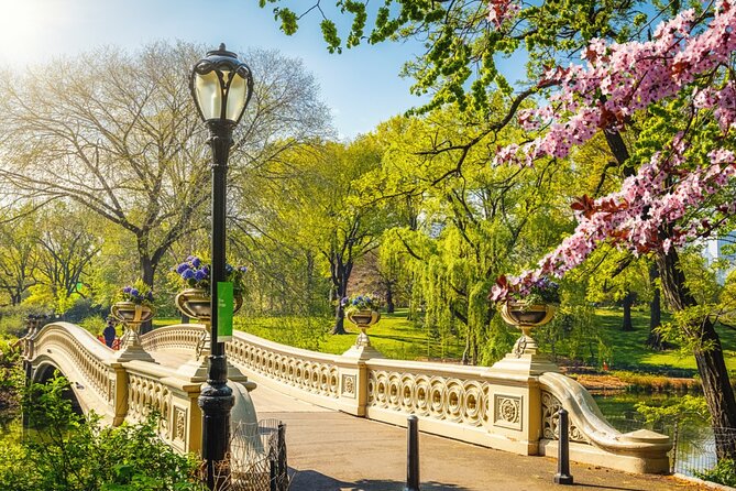 Central Park Stolen Archives: NY Exploration Game and Tour - Shakespeare, the Mall, and Bethesda Terrace