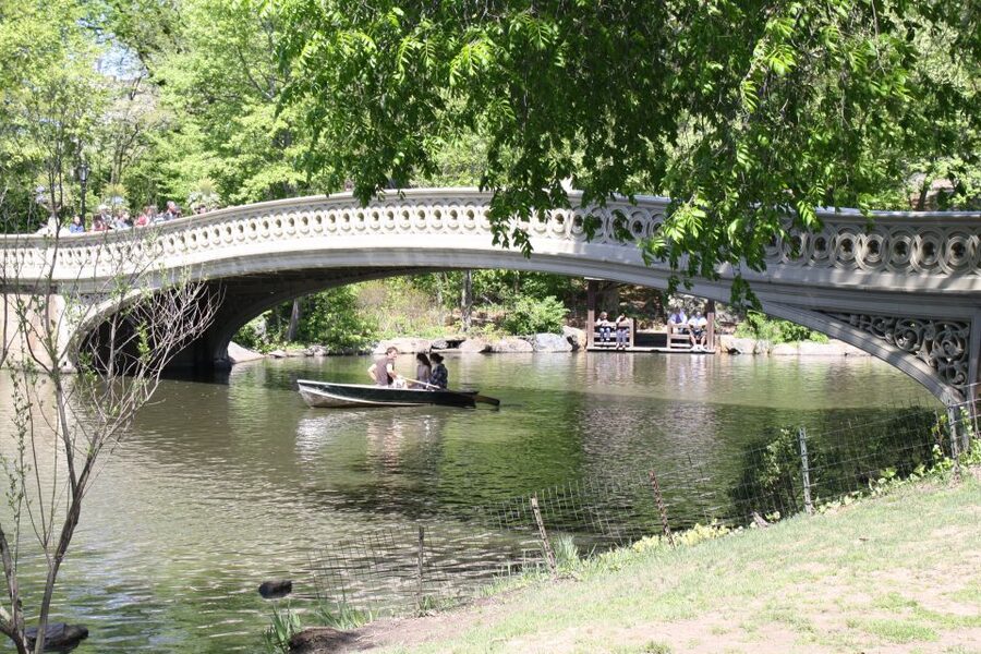 Central Park TV & Movie Sites Walking Tour - NYC - What the actor guide adds to the walk