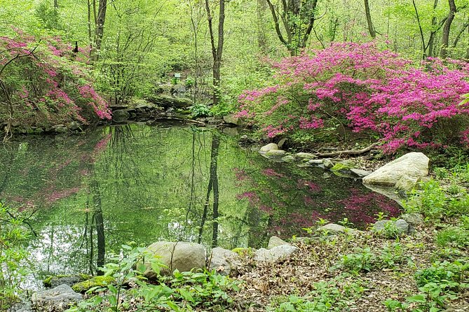 Central Park Walking Tour - Bethesda Terrace, the lake, and the bridges