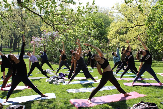 Central Park Yoga Class with a View in the Heart of New York City - Who Will Enjoy This Class Most