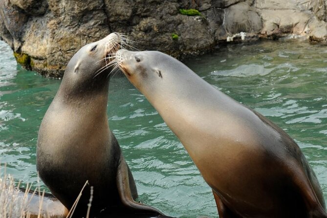 Central Park Zoo Admission Ticket with 4D Theater Access - How long you need and when to go