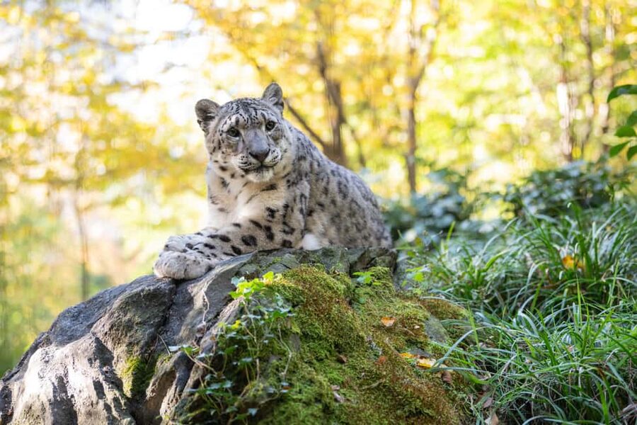 Central Park Zoo Entry Ticket - Key Points to Know Before You Go