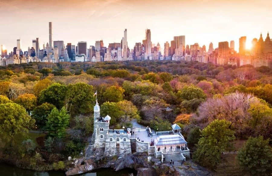 Christmas in Central Park: Horse Carriage Holiday Tour - Wollman Rink, the Carousel, and the Mall