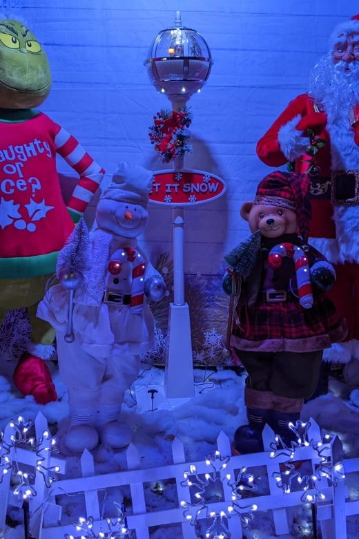 Christmas Light Night tour - Why Dyker Heights beats the usual Manhattan Christmas stop