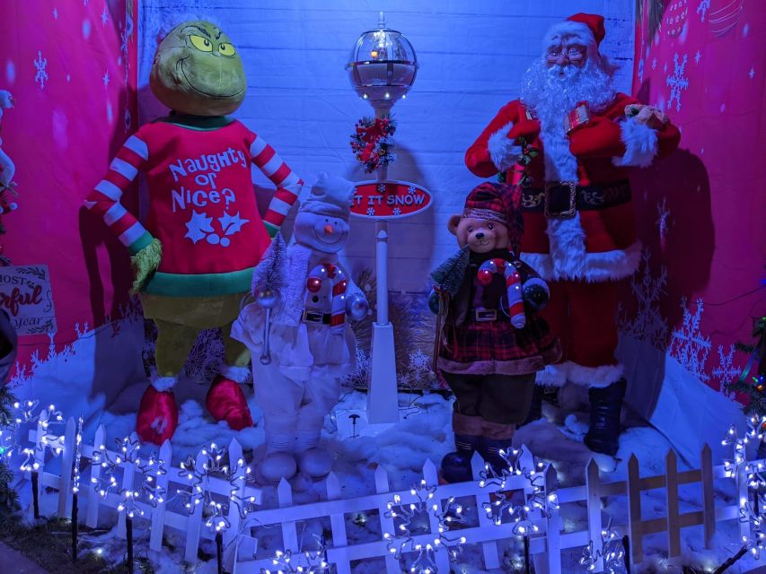 Christmas Light Night tour - Should you book the Christmas Light Night tour?