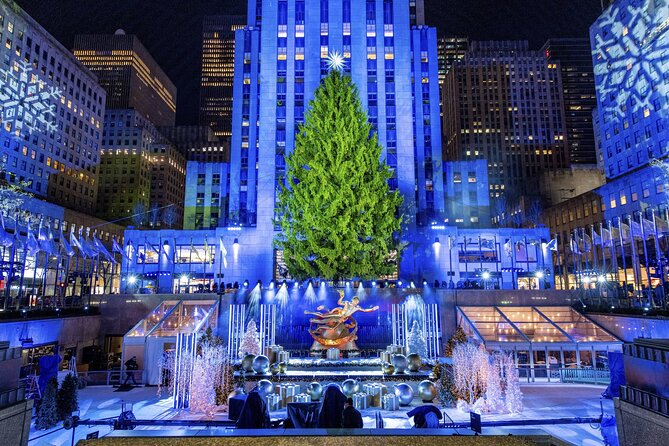 Christmas Light Private Carriage Ride New York City - Key points to know before booking