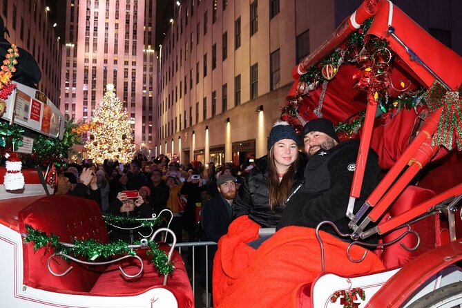 Christmas Light Private Carriage Ride New York City - The Plaza and Fifth Avenue lights