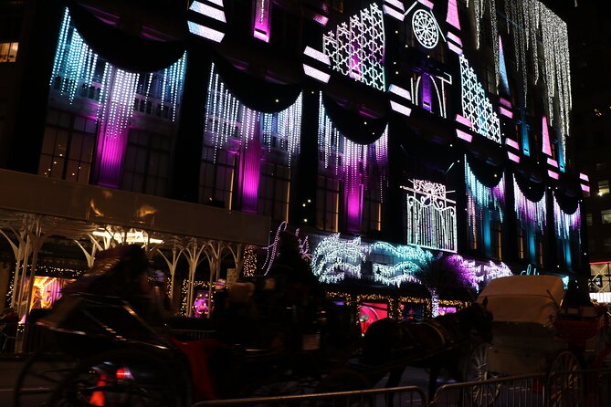 Christmas Light Private Carriage Ride New York City - The Pond, Rockefeller Center, and the main Christmas tree