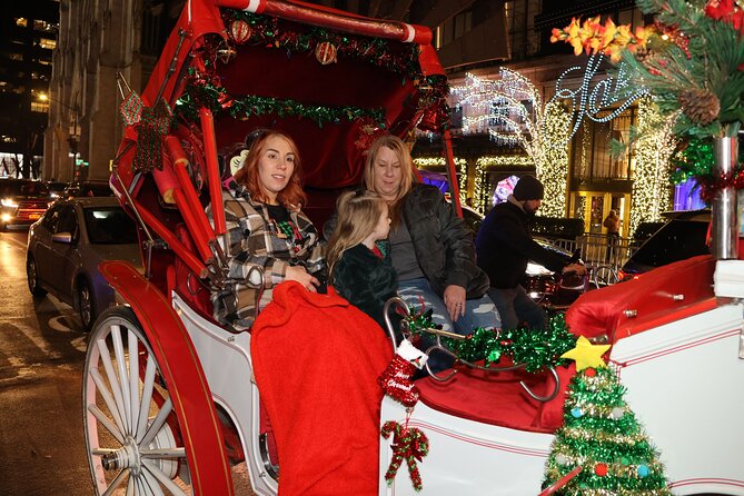 Christmas Light Private Carriage Ride New York City - Guides, horses, blankets, and photos