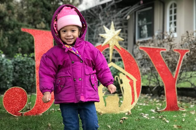 Christmas Lights Tour - Timing, traffic, and the four-hour promise