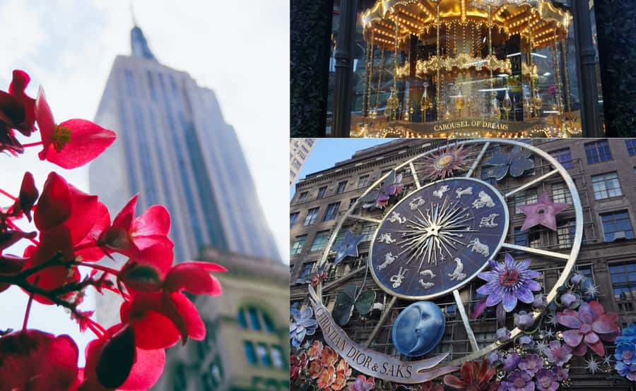 Everything New York City Private SUV Tour - Comfort, group size, and the real value of $880