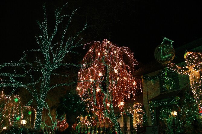 French Christmas Tour in Brooklyn - Cold weather, walking, and who should book