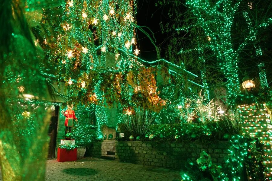From Manhattan: 4-Hour Christmas Lights Luxury Bus Tour - Who will enjoy this Christmas lights tour?
