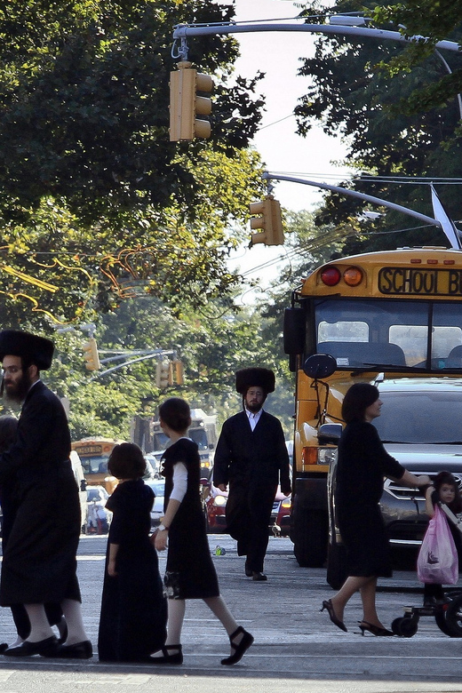 From Manhattan: 5-Hour Bronx, Queens, and Brooklyn Bus Tour - The guide, language, and vehicle experience