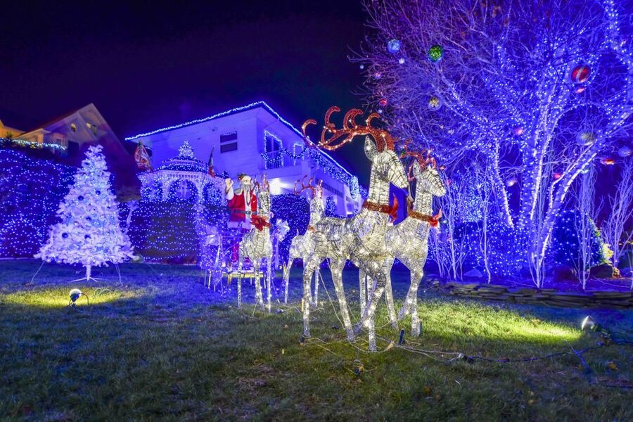 From Manhattan: Dyker Heights Lights & Skyline Tour - Who will enjoy this tour most?