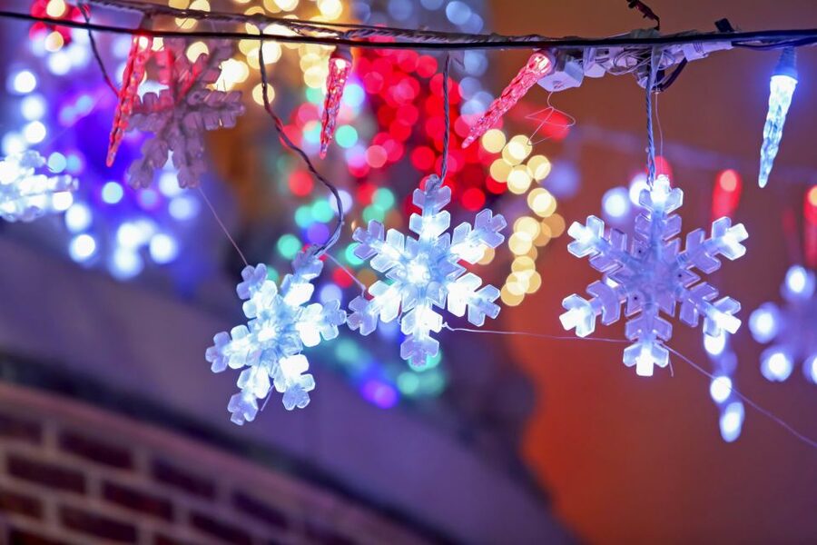 From Manhattan: Dyker Heights Lights & Skyline Tour - The Brooklyn Bridge Park skyline stop