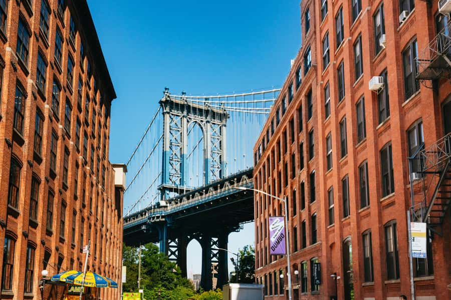 From Manhattan: Full-Day NYC Boroughs and Coney Island Tour - Why this boroughs tour is useful