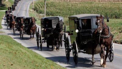 Philadelphia & Amish Community Day Trip
