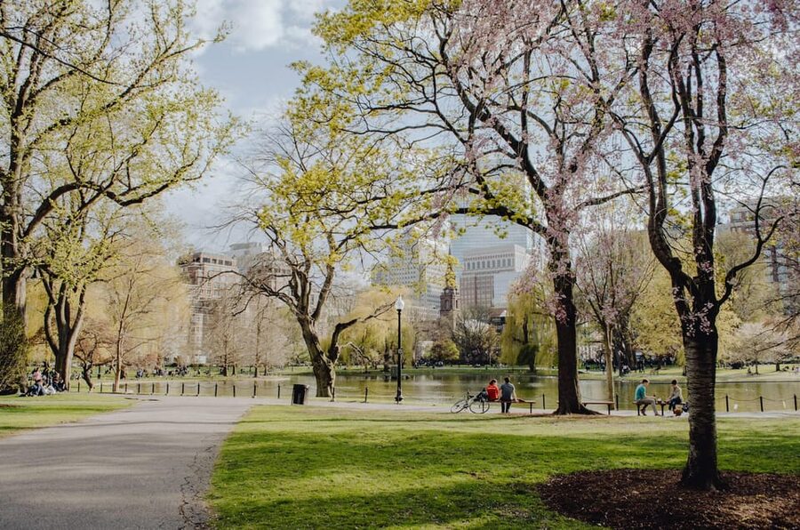 From New York: Niagara Falls and Washington DC 3-Day Trip - The serious booking concern you should not ignore