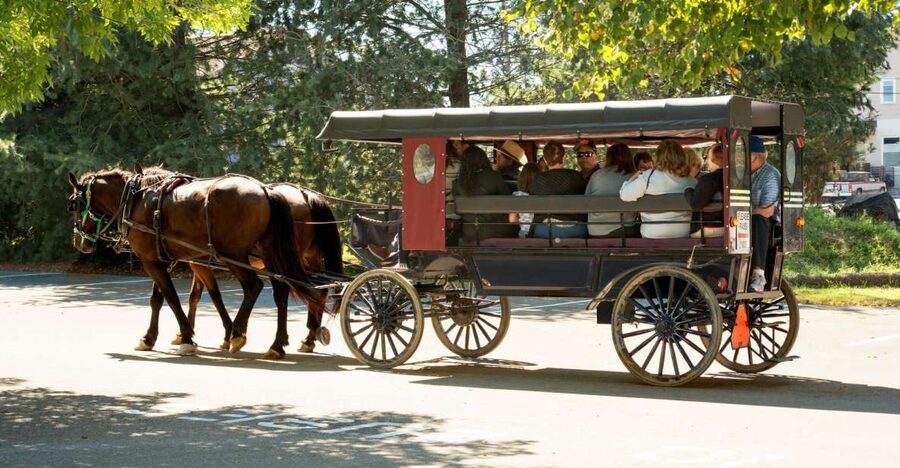 From NYC: Day Trip to Philadelphia and Amish Country - Philadelphia in one concentrated visit