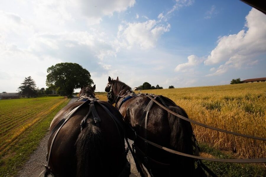 From NYC: Day Trip to Philadelphia and Amish Country - Is $149 good value?