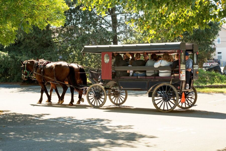 From NYC: Day Trip to Philadelphia and Amish Country - Should you book the Philadelphia and Amish Country tour?