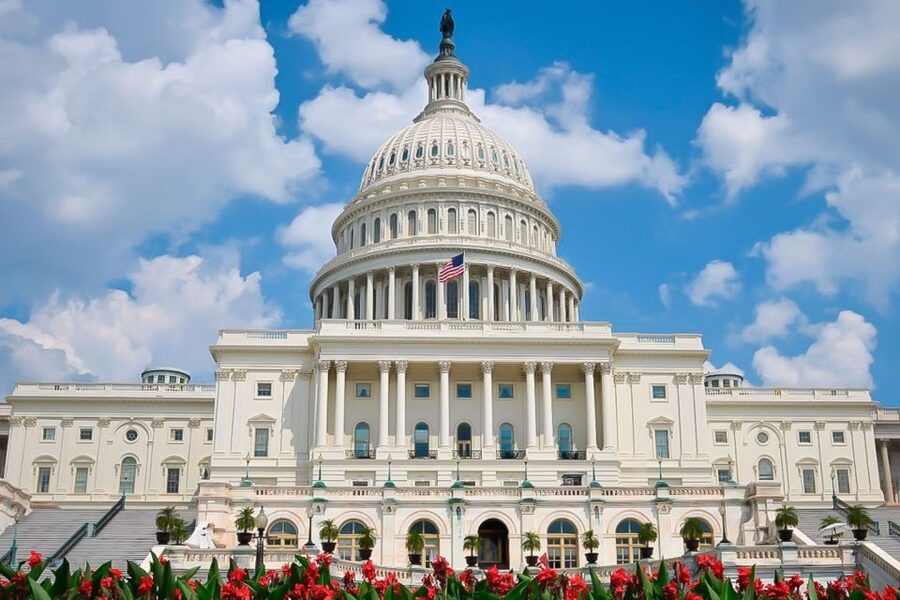 From NYC: Guided Day Trip to Washington DC by Van or Bus - What this Washington DC day trip really offers