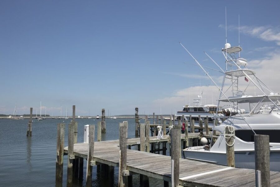 From NYC: Hamptons, Sag Harbor, and Outlet Shopping Day Trip - Who should book this Hamptons day trip?