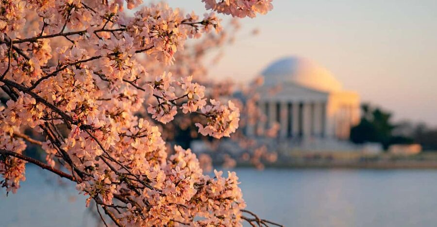 From NYC: Niagara Falls, Washington DC and Boston 4-Day Trip - Key points to know before booking