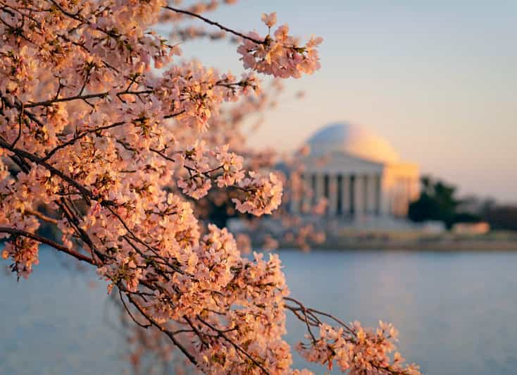From NYC: Niagara Falls, Washington DC and Boston 4-Day Trip - Washington DC packs national landmarks into one afternoon