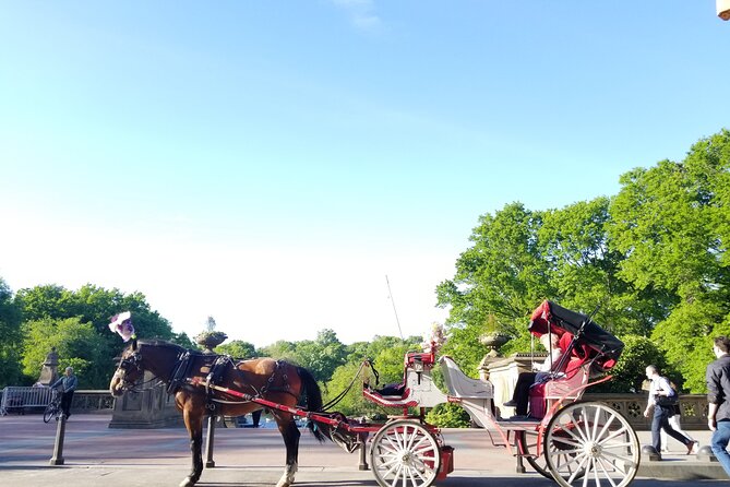 Full loop Private Horse Carriage Ride in Central Park 45 Minutes - Key points to know before you book