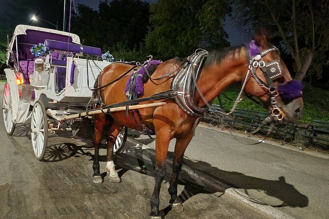 Full loop Private Horse Carriage Ride in Central Park 45 Minutes - Bethesda Terrace and Fountain are the visual high point