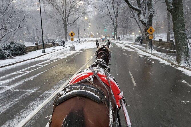 Full loop Private Horse Carriage Ride in Central Park 45 Minutes - Cherry Hill and the Lake provide a calmer pause