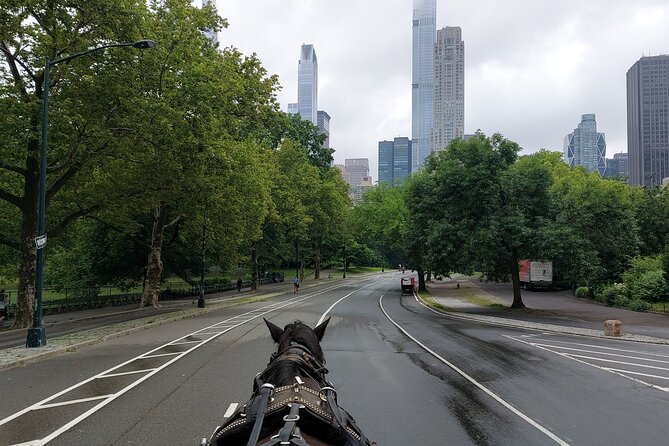Full loop Private Horse Carriage Ride in Central Park 45 Minutes - The guide can shape the experience