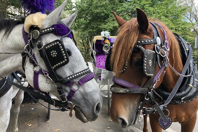 Full loop Private Horse Carriage Ride in Central Park 45 Minutes - The southern park sights come first