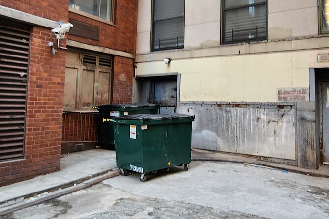 Garbage and Rats in New York City Walking Tour - Ann Street, Theatre Alley, and City Hall Park