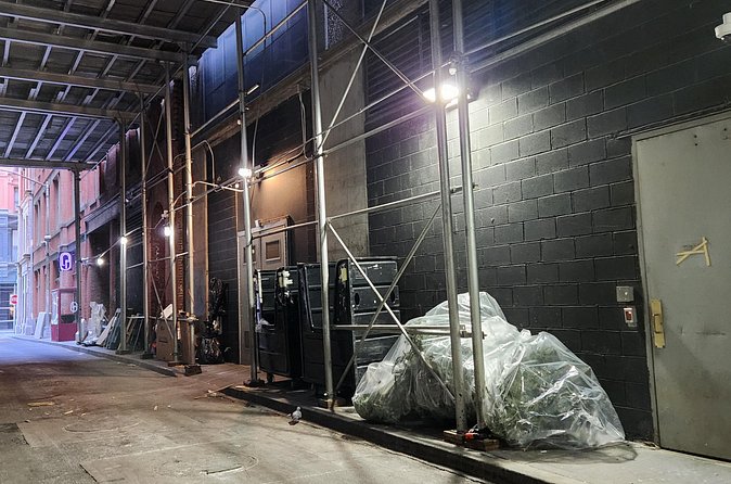 Garbage and Rats in New York City Walking Tour - Suzanne’s guiding style
