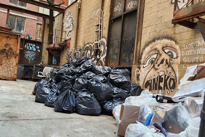 Garbage and Rats in New York City Walking Tour - South Street Seaport, fish markets, and rat fights
