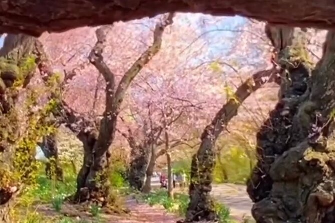 Gluten Free Walking Tour of Central Park NYC - Bethesda Terrace, the lake, and the Angel of the Waters