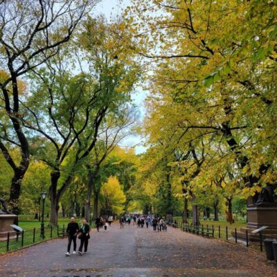 Guided Economy Pedicab Tour in Central Park
