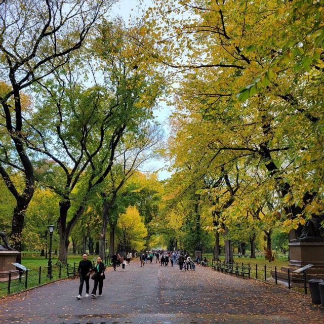 Guided Economy Pedicab Tour in Central Park - Wollman Rink gives you the first taste of the park