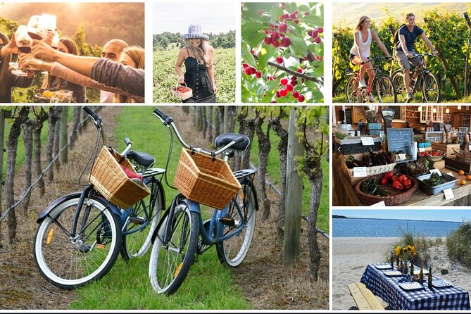 Guided Farm and Wine Country Bike Tour in Mattituck NY - Key points to know before you book
