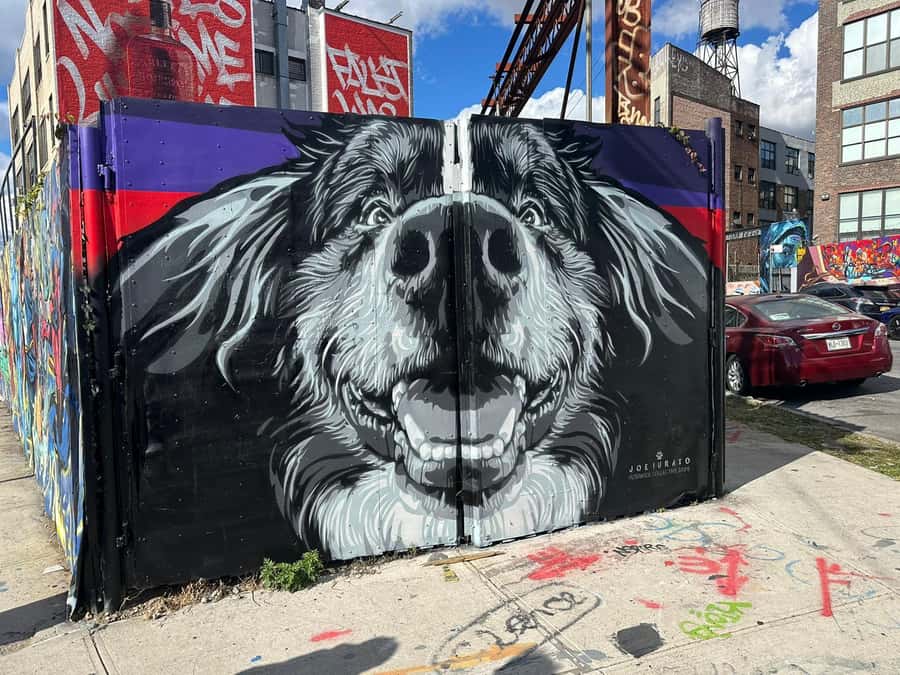 Guided tour in French of Brooklyn Bushwick and Williamsburg - Should you book this French Brooklyn tour?
