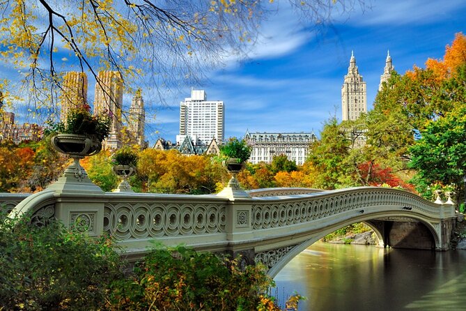 Half Day New York City Private Tour - Central Park in a 30-minute window