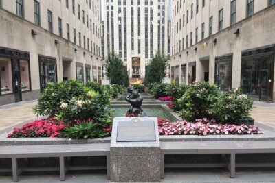 Half Day Tour in New York