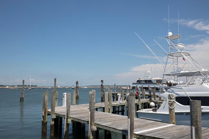 Hamptons, Sag Harbor & Outlet Shopping, 1-Day Tour from NYC - The long ride back to Manhattan
