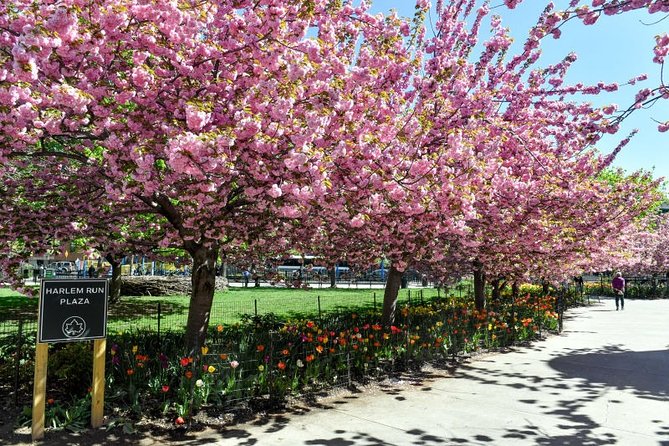 Harlem Walking Tour: Mount Morris Park Historic District w/ Lunch - Brownstones and the meaning of Mount Morris Park