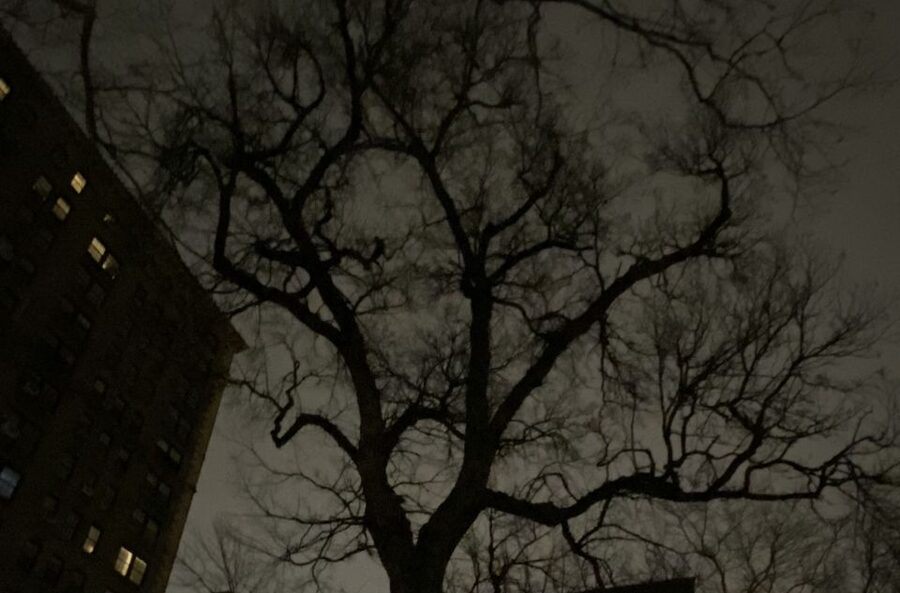 Haunted Village of New York City walking tour - Meeting at 155 2nd Avenue